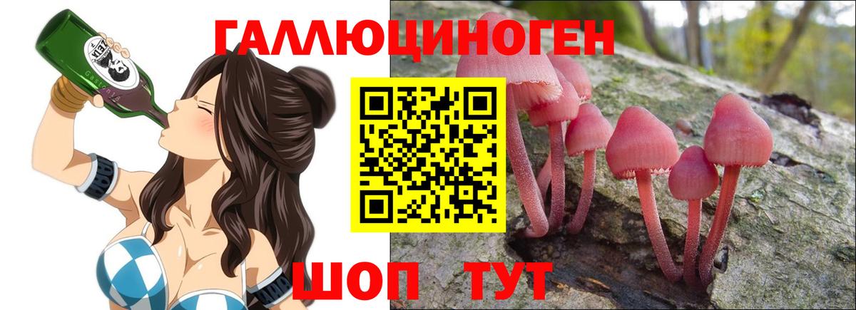 Псилоцибиновые грибы GOLDEN TEACHER Усть-Джегута